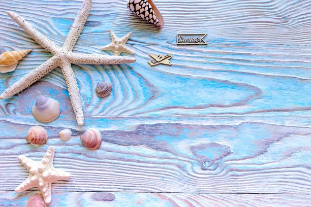 夏季海背景-贝壳，星在木蓝色背景与复制空间图片下载