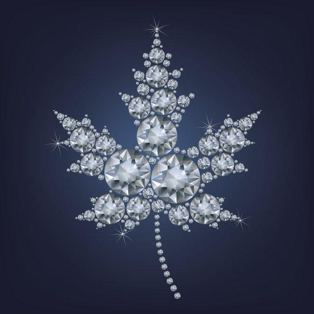 加拿大的枫叶图标制作了很多钻石图片下载