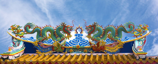 屋顶上的双龙。图片下载