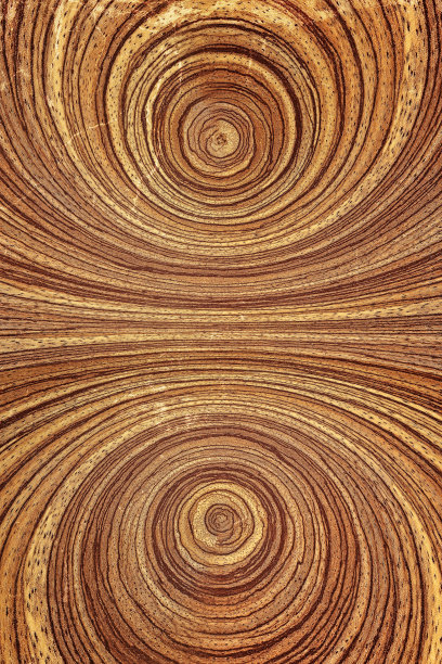 旧木材纹理的特写图片下载