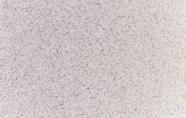 医学背景。图片下载