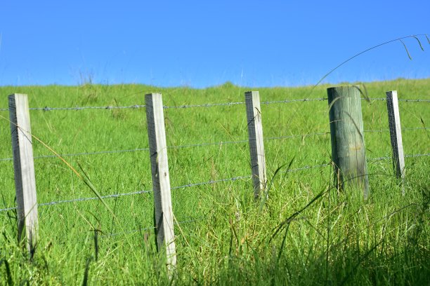 铁丝网图片下载