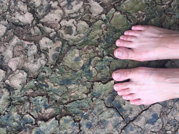 赤脚站在干燥的土壤上。图片下载