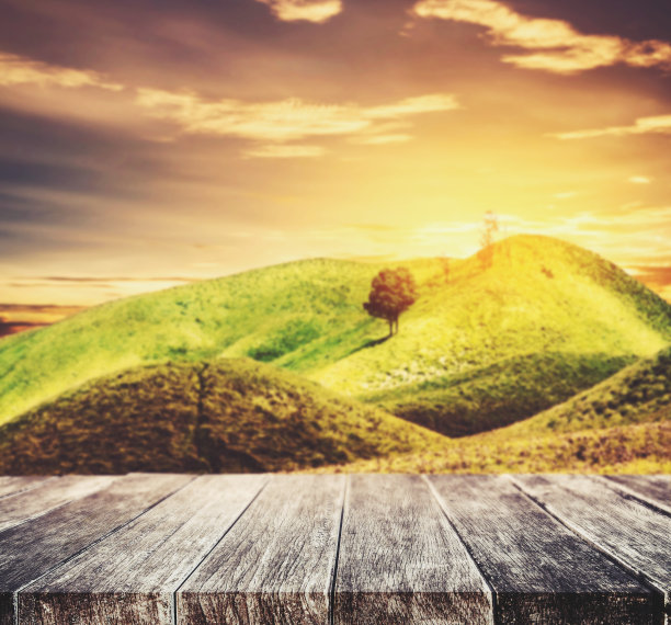 木材梯田和森林视野图片下载