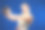 手里拿着相机的女孩图片下载