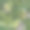 植物矢量图素材ID：159130960