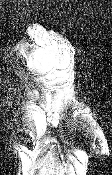 宫的胸部图片下载