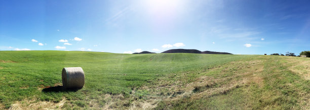 澳大利亚塔斯马尼亚的风景/蓝天下的绿草地/蓝天下的绿草地图片下载
