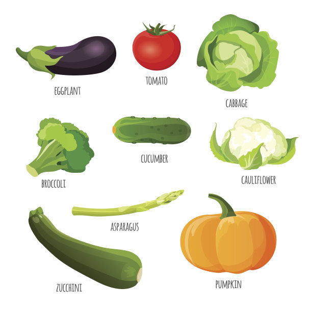 蔬菜。茄子，西红柿，卷心菜，花椰菜，黄瓜，花椰菜，南瓜，西葫芦图片下载