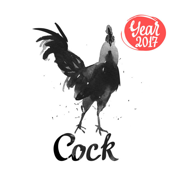 公鸡的剪影。素描风格。水彩插图与黑白公鸡。刷图纸。2017年中国新年图片下载