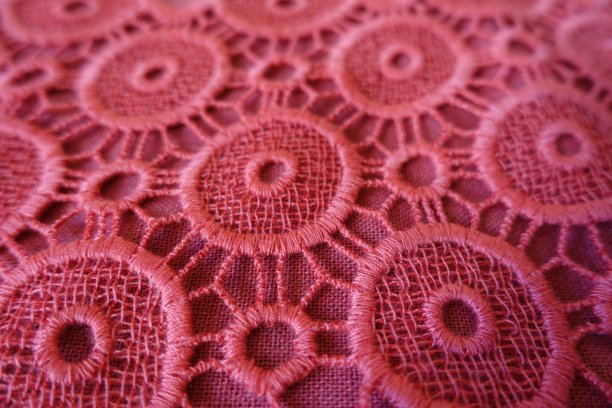 近处的粉红色开放刺绣与圆形孔眼图片下载