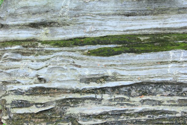 长满青苔的古老石头图片下载