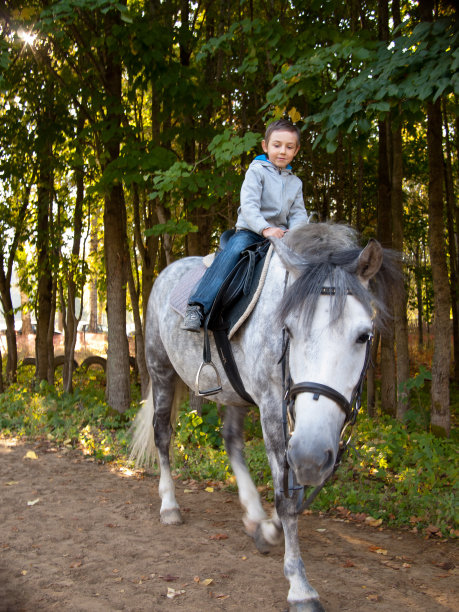 孩子骑着马在森林背景图片下载