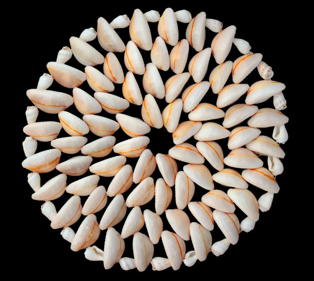 贝壳做成的圆形装饰席图片下载