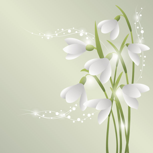 一束美丽的花。图片下载