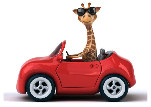 有趣的长颈鹿图片下载