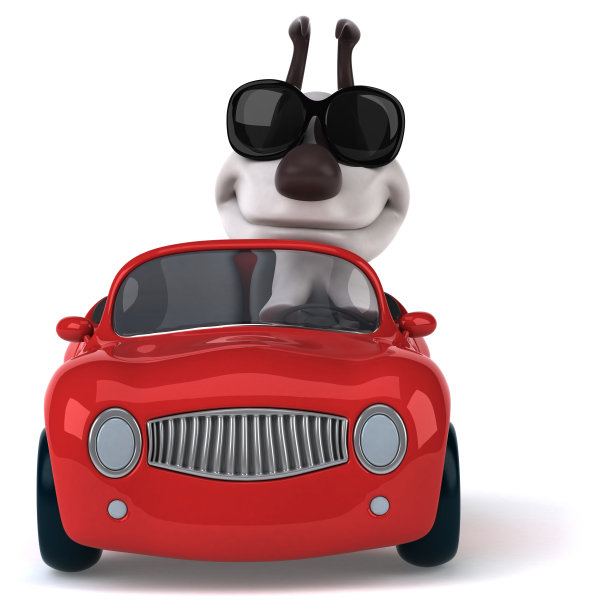 有趣的狗图片下载