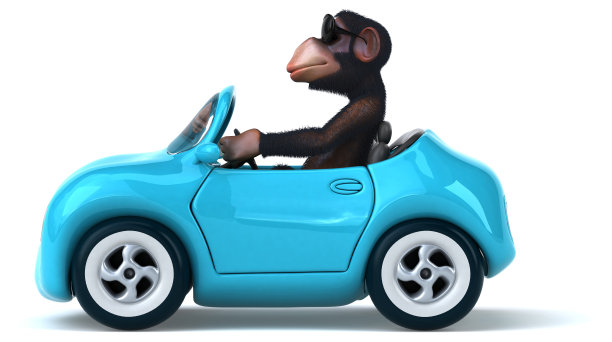 有趣的猴子图片下载