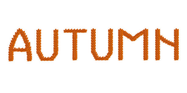 碑文秋天和图案来自秋天的叶子图片下载