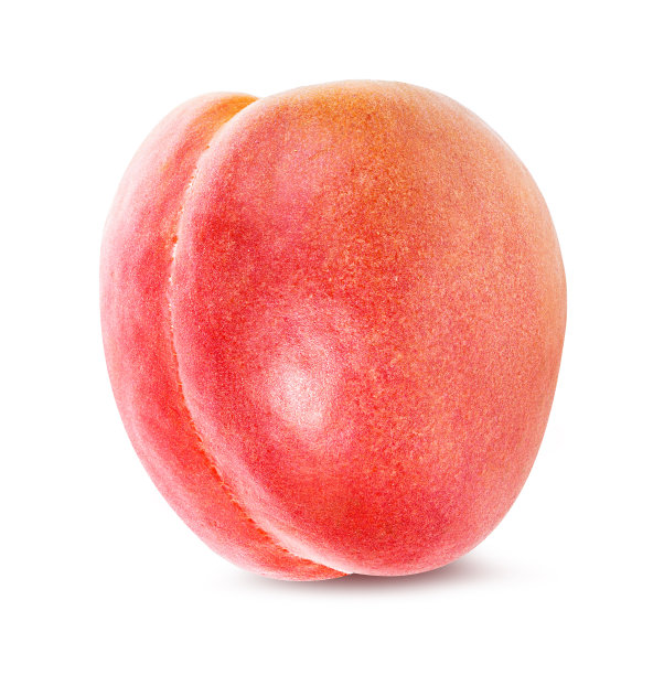 杏子孤立在白色上图片下载