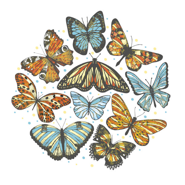 矢量构成与手绘蝴蝶图片下载