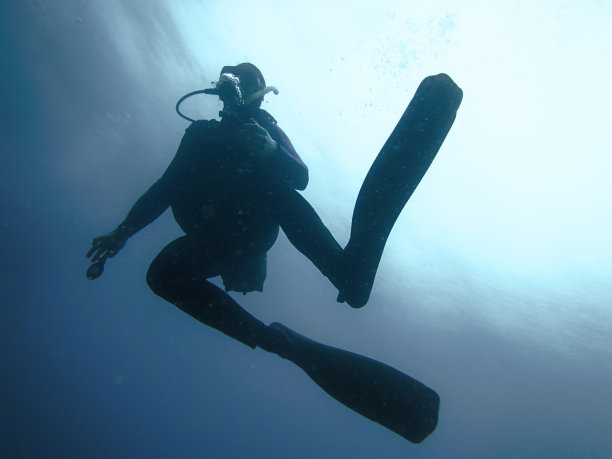 水下潜水员在阳光下的剪影图片下载