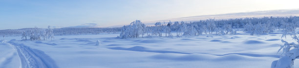 拉普兰的冬季景观图片下载