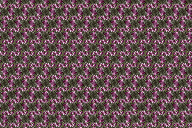 幻想花卉背景与明亮的几何图案和丰富图片下载