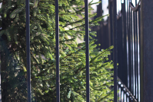 街的栅栏图片下载