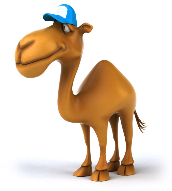 有趣的骆驼图片下载