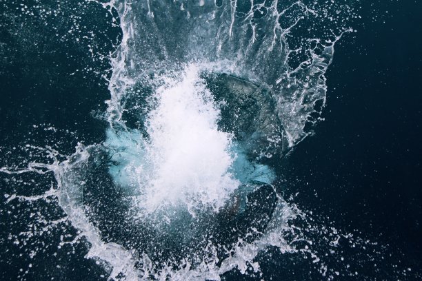 掉进水里图片下载