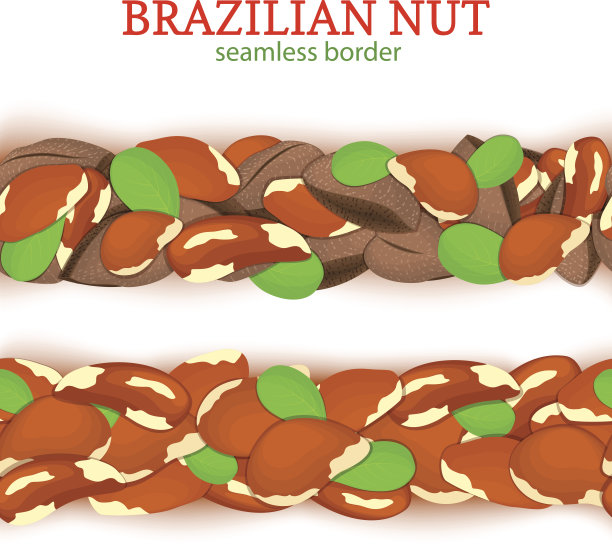 巴西螺母水平无缝边框。矢量图卡。宽条状和窄条状的巴西核桃仁以果壳整体为果壳，叶子为设计的健康食品，节食。图片下载