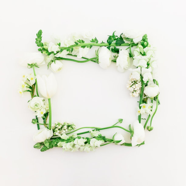 白花在白色背景上的框架。框架背景的花。平躺，俯视图。图片下载