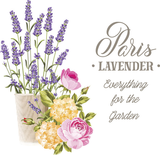 婚姻卡图片下载