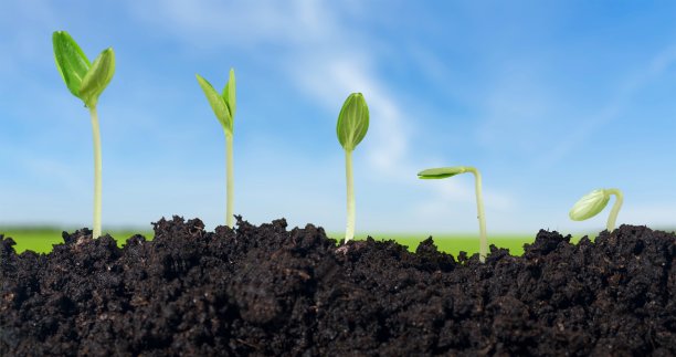 工厂。图片下载