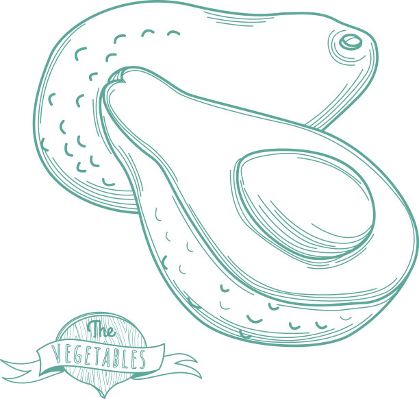 牛油果手绘轮廓草图(平纹细线)图片下载