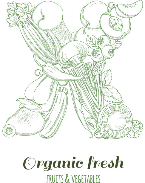 字母X图案标志有机农场新鲜水果和蔬菜图片下载