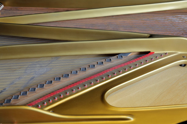 在音乐会的大钢琴里面图片下载