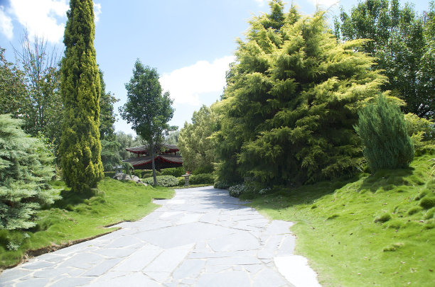 幕后的神庙图片下载