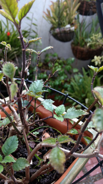 自然是beatifull图片下载