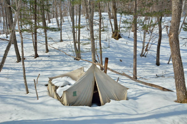 冬季森林中的帐篷图片下载