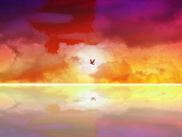 飞回家，河海倒影图片下载