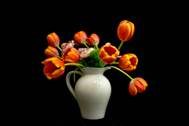 郁金香插花图片下载