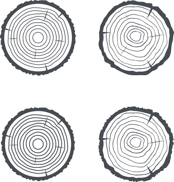 原木横截面四个孤立的插图。向量素材图片