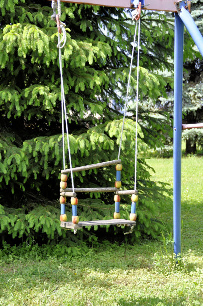 孩子们在绿色冷杉的背景下在公园里荡秋千图片下载