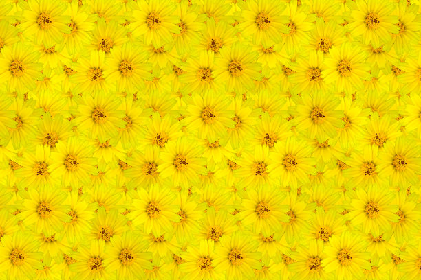 小黄星花抽象的背景图片下载