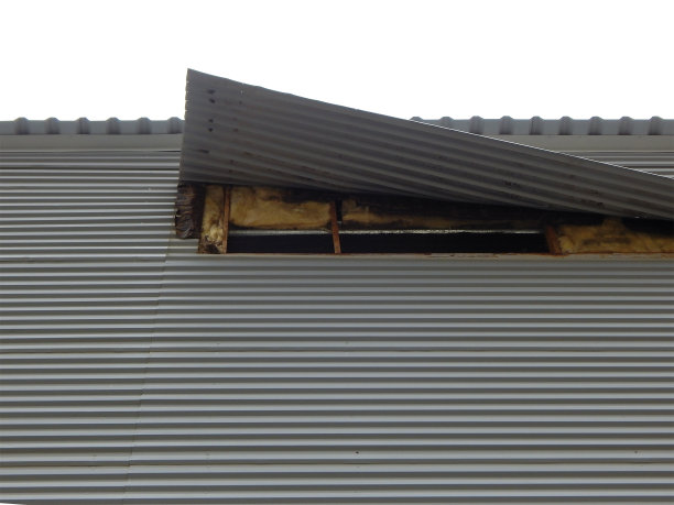 被风撕裂。图片下载