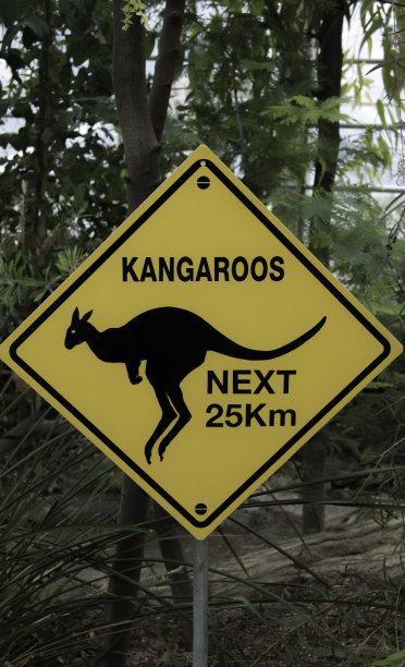 黄色标志和黑色的袋鼠图画图片下载