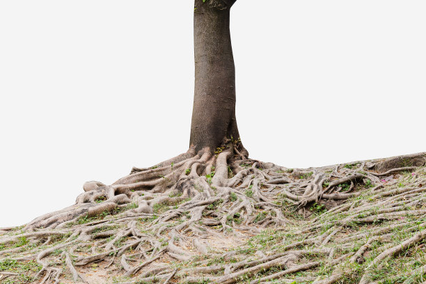 悦榕庄图片下载