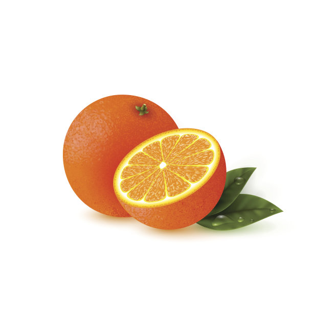 现实的橙色与树叶。图片下载